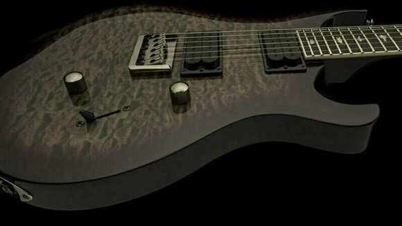 Guitarra electrica PRS SE Mark Holcomb - 8