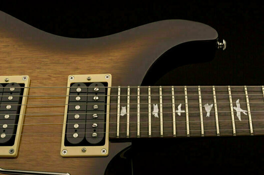 Elektrische gitaar PRS SE Standard 24 Tobacco Sunburst - 2
