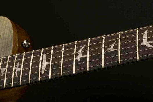 Elektrische gitaar PRS SE Zach Myers TG Trampas Green - 4
