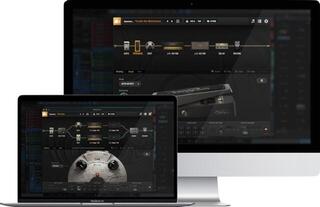 Effect Plug-In Positive Grid BIAS FX 2 (Digital product) - 5