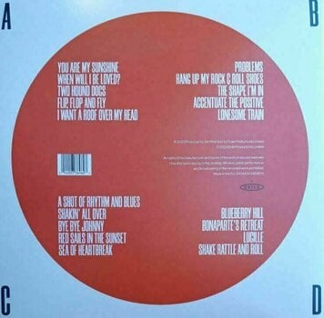 Disco de vinilo Van Morrison - Accentuate The Positive (2 LP) - 7
