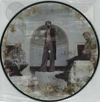 Disc de vinil Biffy Clyro - A Celebration Of Endings (Picture Disc) (LP) - 2