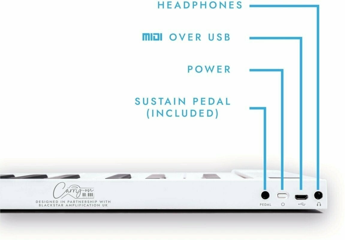 Pedal Inputs