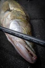 Pike Rod Fox Rage Warrior Zander Jigger Rod 2,4 m 10 - 35 g 2 parts - 4