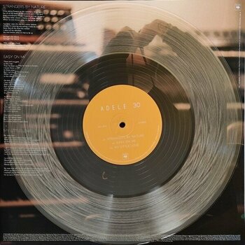 LP plošča Adele - 30 (Limited Edition) (Clear Coloured) (2 LP) - 6
