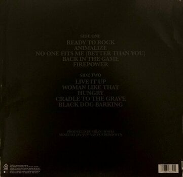 Vinyylilevy Airbourne - Black Dog Barking (Reissue) (LP) - 4