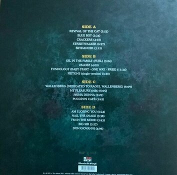 Disque vinyle Jan Akkerman - 75 (Limited Edition) (Gold Coloured) (2 LP) - 6