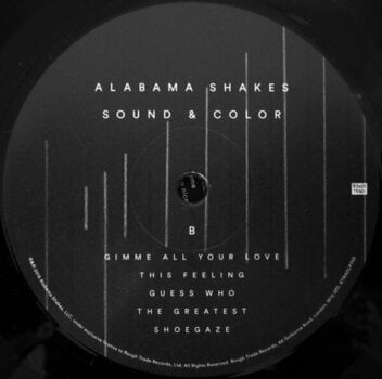 LP Alabama Shakes - Sound & Color (180g) (2 LP) - 3