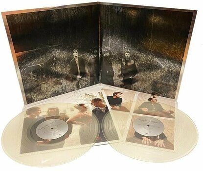 Vinyl Record Alabama Shakes - Boys & Girls (10th Anniversary) (Crystal Clear Coloured) (2 LP) - 2
