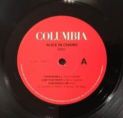 Płyta winylowa Alice In Chains - Dirt (30th Anniversary) (Reissue) (2 LP) - 2