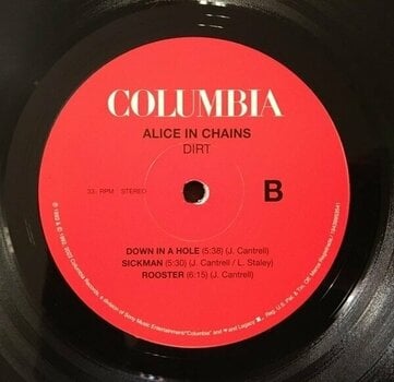 Vinyl Record Alice in Chains - Dirt (30th Anniversary) (Reissue) (2 LP) - 3