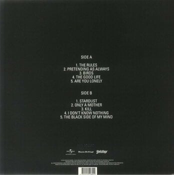 Vinylplade Anouk - Sad Singalong Songs (Limited Edition) (White Coloured) (LP) - 2
