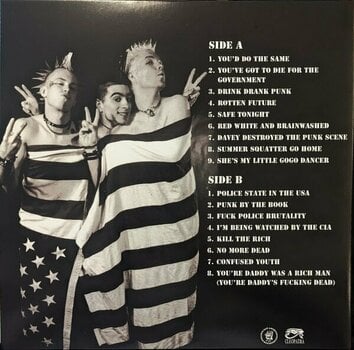 Δίσκος LP Anti-Flag - Die For The Government (Limited Edition) (Red/White/Blue Splatter) (LP) - 3