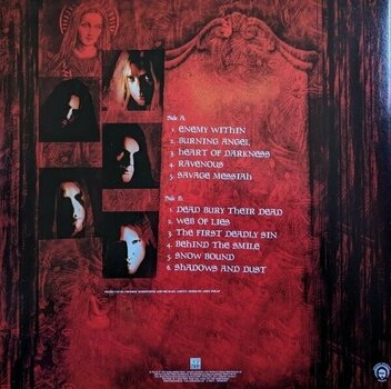 Vinyl Record Arch Enemy - Wages Of Sin (Reissue) (180g) (LP) - 4