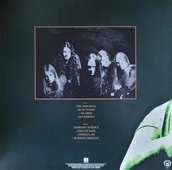Disc de vinil Arch Enemy - Burning Bridges (Reissue) (Green Transparent) (LP) - 2