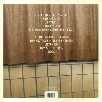 Vinyylilevy Balthazar - Rats (Limited Edition) (Orange Transparent) (LP) - 4