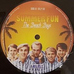 LP deska The Beach Boys - Summer Fun (Reissue) (180g) (LP) - 2