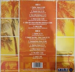 LP deska The Beach Boys - Summer Fun (Reissue) (180g) (LP) - 3