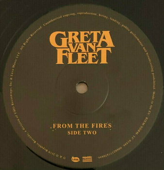 Vinyl Record Greta Van Fleet - From The Fires (Reissue) (LP) - 3