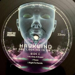 Hanglemez Hawkwind - We Are Looking In On You (2 LP) - 3