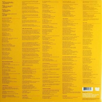 Vinyl Record Belle and Sebastian - Dear Catastrophe Waitress (Reissue) (2 LP) - 6