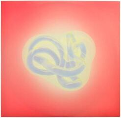 Schallplatte Björk - Vulnicura Strings (2 LP) - 5