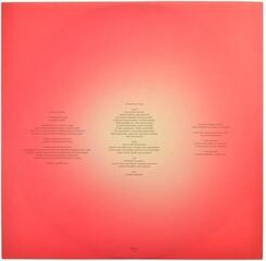 Schallplatte Björk - Vulnicura Strings (2 LP) - 6