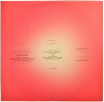 Vinylplade Björk - Vulnicura Strings (2 LP) - 3