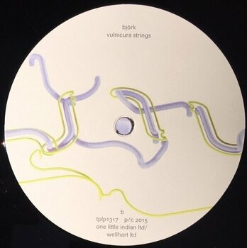 Грамофонна плоча Björk - Vulnicura Strings (2 LP) - 5