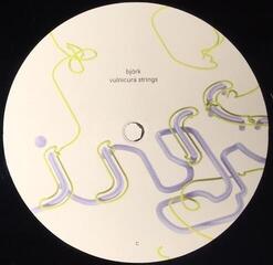 Schallplatte Björk - Vulnicura Strings (2 LP) - 3