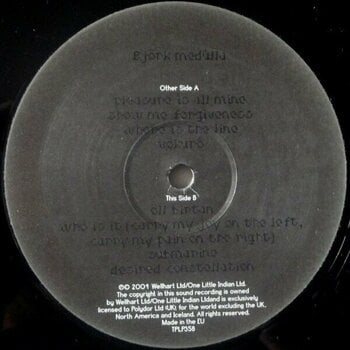 Vinyl Record Björk - Medulla (Reissue) (2 LP) - 3