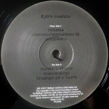 Disque vinyle Björk - Medulla (Reissue) (2 LP) - 5