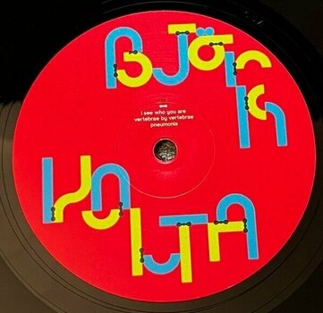 LP Björk - Volta (Reissue) (2 LP) - 4