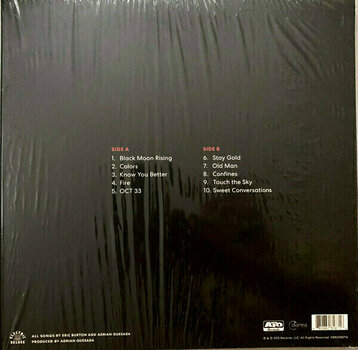 Vinyl Record Black Pumas - Black Pumas (Cream Coloured) (LP) - 5