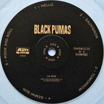 Disco de vinilo Black Pumas - Chronicles Of A Diamond (US Version) (Clear Coloured) (LP) Disco de vinilo - 3