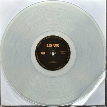 Vinyl Record Black Pumas - Chronicles Of A Diamond (US Version) (Clear Coloured) (LP) - 4