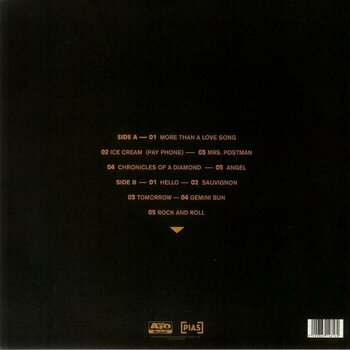 Schallplatte Black Pumas - Chronicles Of A Diamond (US Version) (Clear Coloured) (LP) - 5