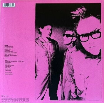 Vinylplade Blink-182 - One More Time... (LP) - 4