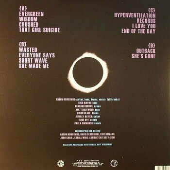 Vinyl Record Brian Jonestown Massacre - Methodrone (Reissue) (2 LP) - 2