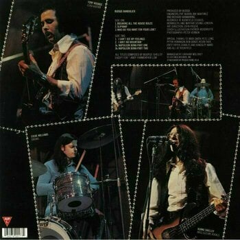 Vinyl Record Budgie - Bandolier (Reissue) (LP) - 4