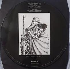 Disc de vinil Burzum - Det Som Engang Var (Reissue) (Picture Disc) (LP) - 2