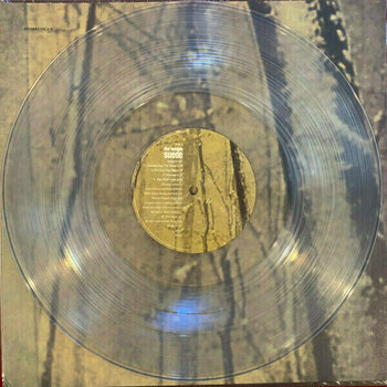 Δίσκος LP Suede - Dog Man Star (Reissue) (Clear Coloured) (2 LP) - 2