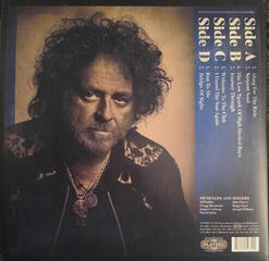 LP deska Steve Lukather - I Found The Sun Again (Blue Transparent) (2 LP) - 7