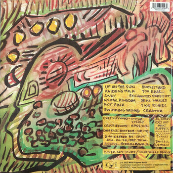 Disque vinyle Meat Puppets - Up On The Sun (Remastered) (LP) - 4