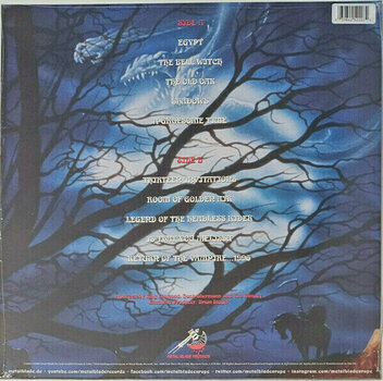 Δίσκος LP Mercyful Fate - In The Shadows (Limited Edition) (Teal Green Marbled) (LP) - 4