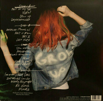 Vinyylilevy Paramore - Paramore (2 LP) - 6