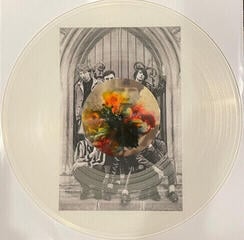 LP platňa Primal Scream - Reverberations (Travelling In Time) (Limited Edition) (Clear Coloured) (LP) - 1