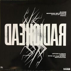 Hanglemez Radiohead - The King Of Limbs (Reissue) (180g) (LP) - 4