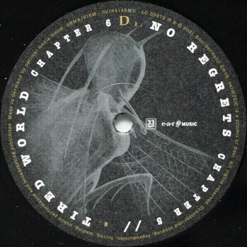 Disque vinyle Saga - Symmetry (2 LP) - 5