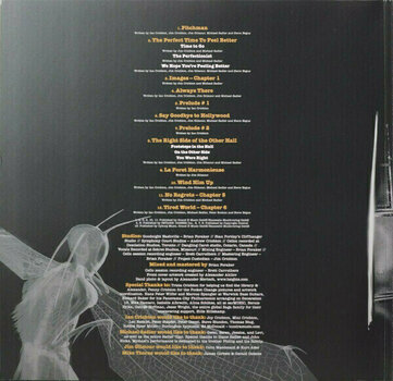 Disque vinyle Saga - Symmetry (2 LP) - 6